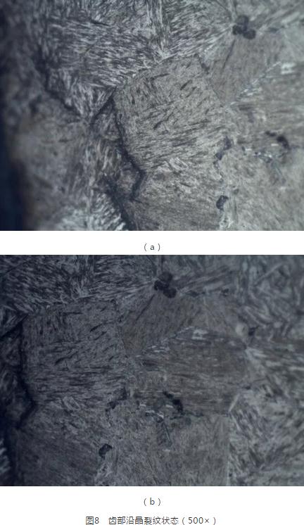 齒部沿晶裂紋狀態